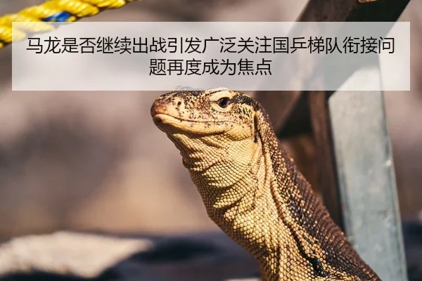 马龙是否继续出战引发广泛关注国乒梯队衔接问题再度成为焦点