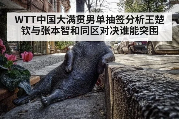 WTT中国大满贯男单抽签分析王楚钦与张本智和同区对决谁能突围